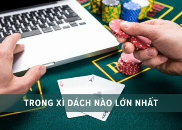 bộ bài lớn nhất trong xì dách