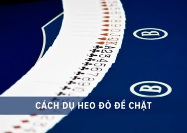 cách dụ heo đỏ để chặt