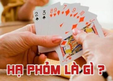 Hạ Phỏm là bước cuối cùng trong trò chơi bài Phỏm