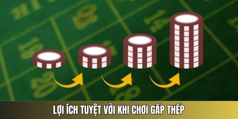 có nên chơi gấp thếp không