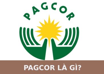 giấy phép pagcor là gì