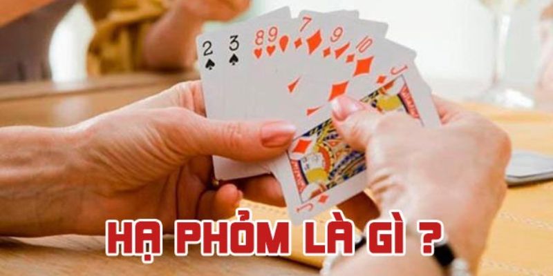 Hạ Phỏm là bước cuối cùng trong trò chơi bài Phỏm