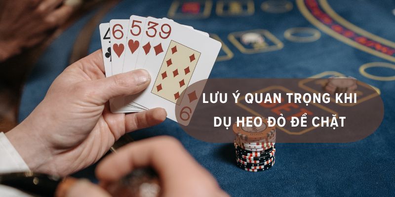 kinh nghiệm chặt heo đỏ
