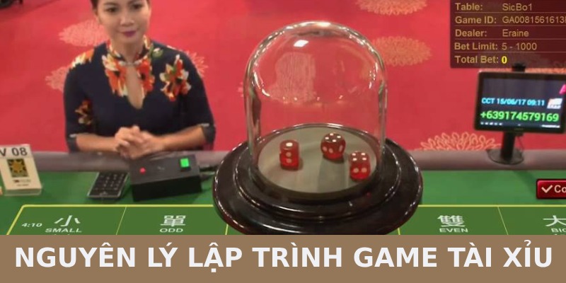 nguyên lý lập trình game tài xỉu