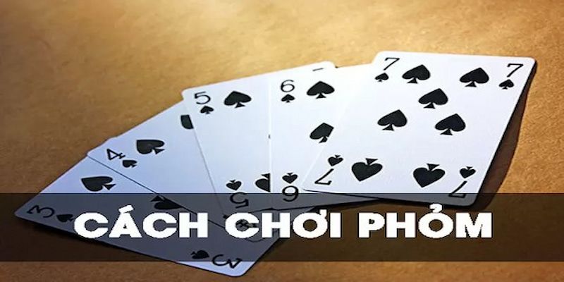 Cách đoán bài trong Phỏm