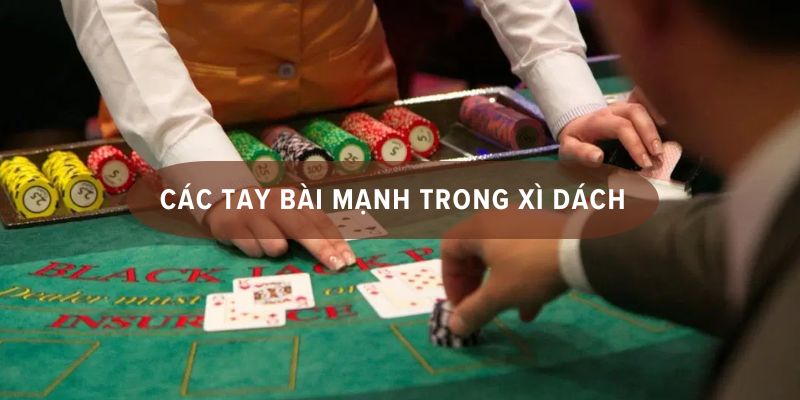 xì dách bài nào lớn nhất